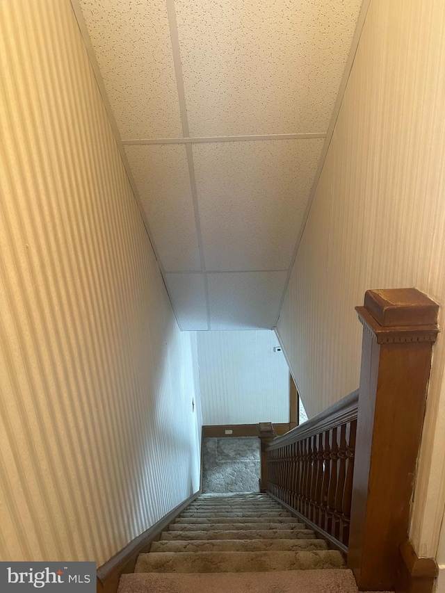 409 S Balliet St, Frackville, PA 17931 - staircase with carpet flooring and a drop ceiling