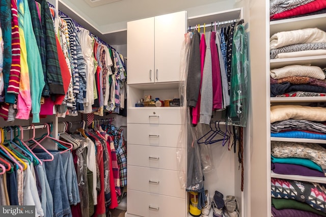 2038 Morgan Creek Dr, Quakertown, PA 18951 - view of spacious closet
