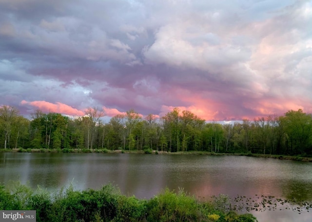 2038 Morgan Creek Dr, Quakertown, PA 18951 - water view featuring a forest