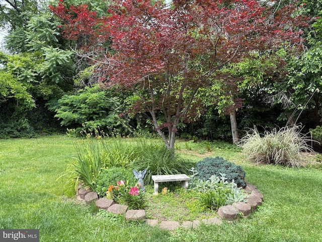 425 Beechcroft Rd, Winchester, VA 22601 - view of green lawn