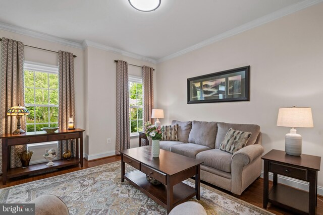 6000 Clairemont Dr, Owings, MD 20736 - living room featuring plenty of natural light, wood finished floors, baseboards, and crown molding