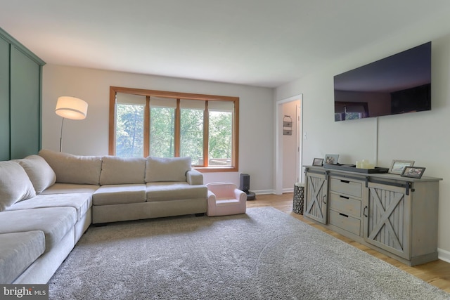 46 Gelsinger Rd, Reading, PA 19608 - living room featuring light wood-type flooring and baseboards
