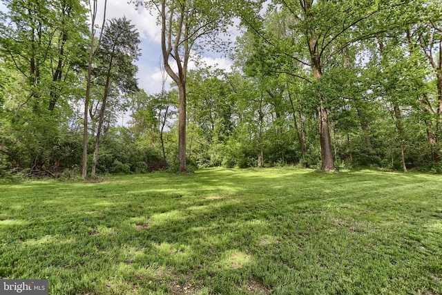 46 Gelsinger Rd, Reading, PA 19608 - view of green lawn