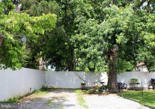 301 E 3rd St, Avondale, PA 19311 - view of yard
