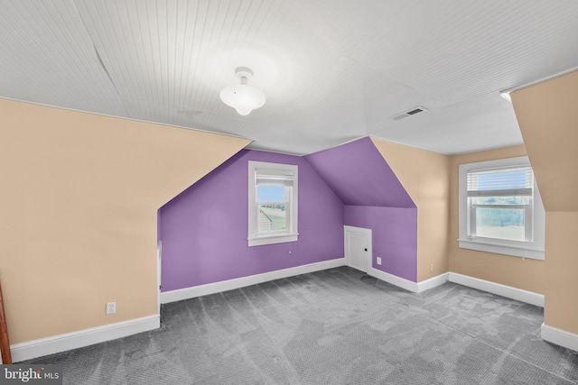 301 Hamilton Blvd, Warsaw, VA 22572 - additional living space featuring carpet flooring, healthy amount of natural light, baseboards, and vaulted ceiling