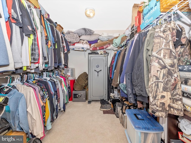 1419 Ramblewood Dr, Emmitsburg, MD 21727 - spacious closet featuring carpet floors