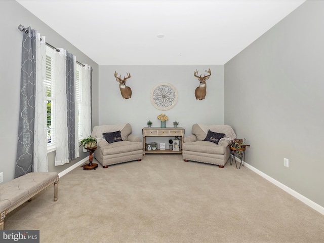 1419 Ramblewood Dr, Emmitsburg, MD 21727 - living area with carpet flooring and baseboards