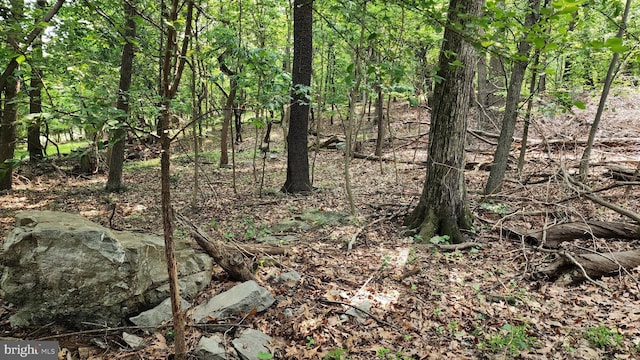 14547 Edgemont Rd, Smithsburg, MD 21783