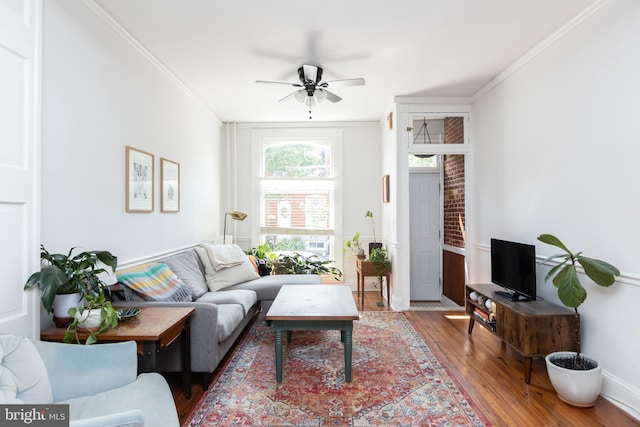 331 S Robinson St, Baltimore, MD 21224 - living area featuring a ceiling fan, wood finished floors, and ornamental molding