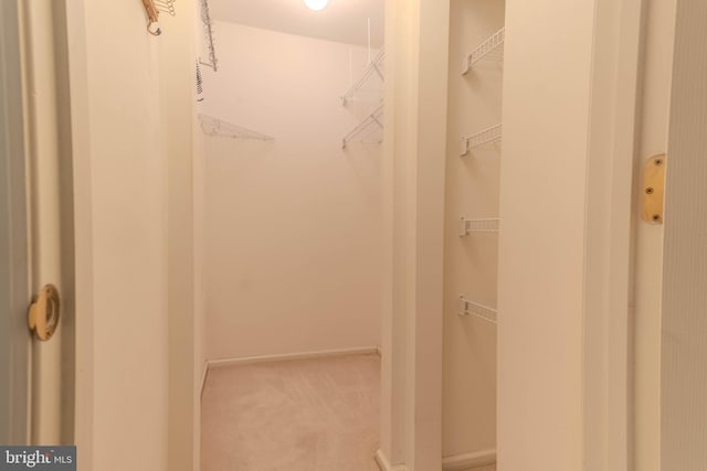 8 Spur Ridge Ct, Newark, DE 19702 - walk in closet with carpet flooring