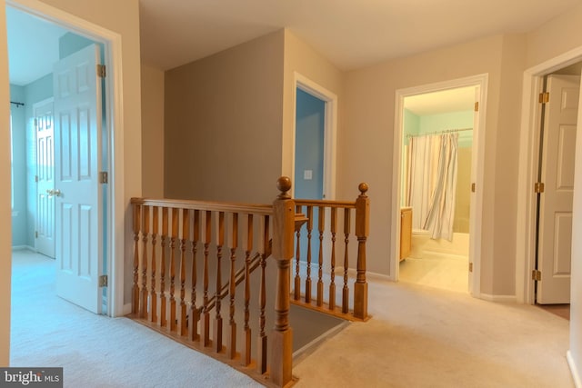 8 Spur Ridge Ct, Newark, DE 19702 - hall with an upstairs landing and carpet flooring