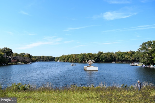 11839 Shire Ct Unit 31D, Reston, VA 20191 - water view with a forest