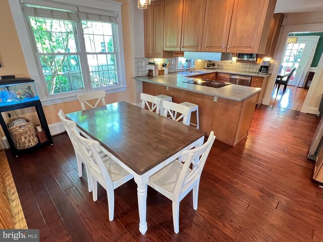 6206 Pinehurst Rd, Baltimore, MD 21212 - dining room featuring dark wood-type flooring, healthy amount of natural light, and baseboards