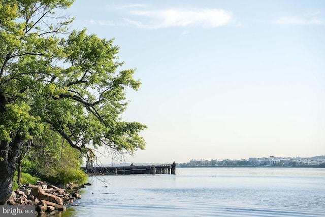 1023 N Royal St Unit 207, Alexandria, VA 22314 - water view