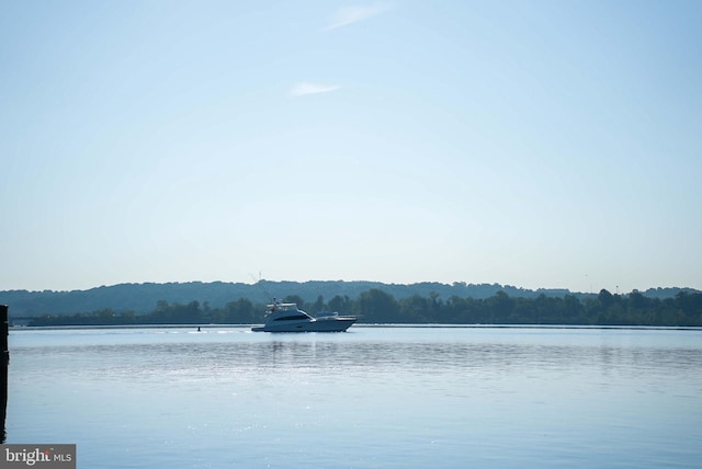 1023 N Royal St Unit 207, Alexandria, VA 22314 - water view with a heavily wooded area