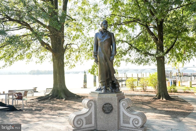 1023 N Royal St Unit 207, Alexandria, VA 22314 - view of property's community with a water view