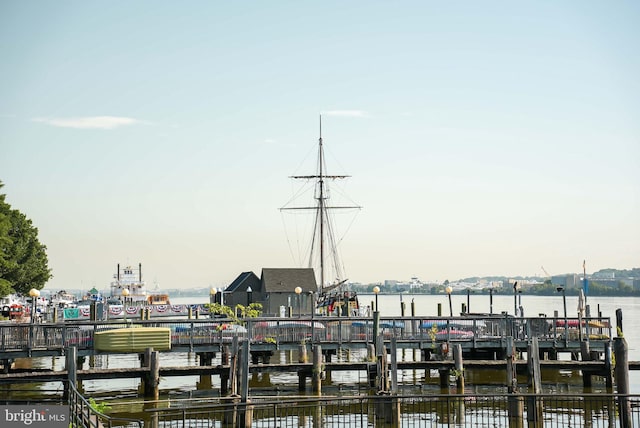 1023 N Royal St Unit 207, Alexandria, VA 22314 - dock with a water view