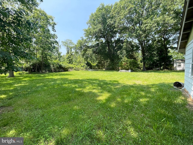 10963 Poplar Dr, Lusby, MD 20657 - view of green lawn