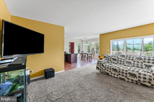 213 Joseph Rd, Oxford, PA 19363 - living room featuring carpet flooring and baseboards