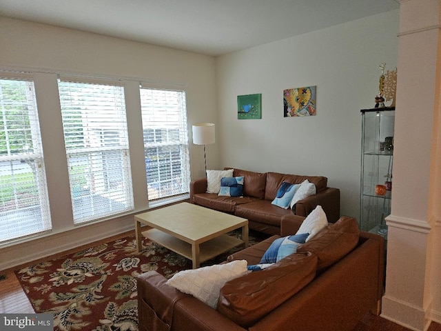 11 Musket Ct Unit 53, West Chester, PA 19380 - living room with wood finished floors