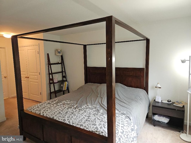 11 Musket Ct Unit 53, West Chester, PA 19380 - bedroom with carpet flooring