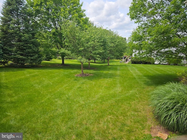 11 Musket Ct Unit 53, West Chester, PA 19380 - view of green lawn