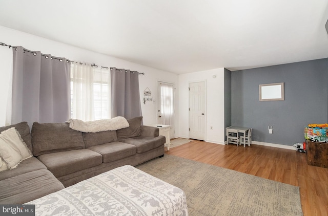 11 Bentley Pl, Carlisle, PA 17013 - living room featuring wood finished floors, healthy amount of natural light, and baseboards