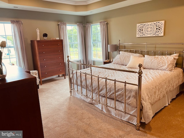 420 Bellflower Way Merion Plan, Unit Merion Plan, Townsend, DE 19734 - bedroom featuring carpet flooring and ornamental molding
