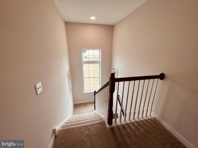 420 Bellflower Way Merion Plan, Unit Merion Plan, Townsend, DE 19734 - staircase with carpet floors and baseboards