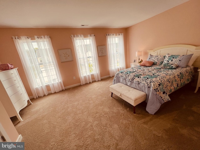 420 Bellflower Way Merion Plan, Unit Merion Plan, Townsend, DE 19734 - bedroom featuring multiple windows, light colored carpet, and baseboards