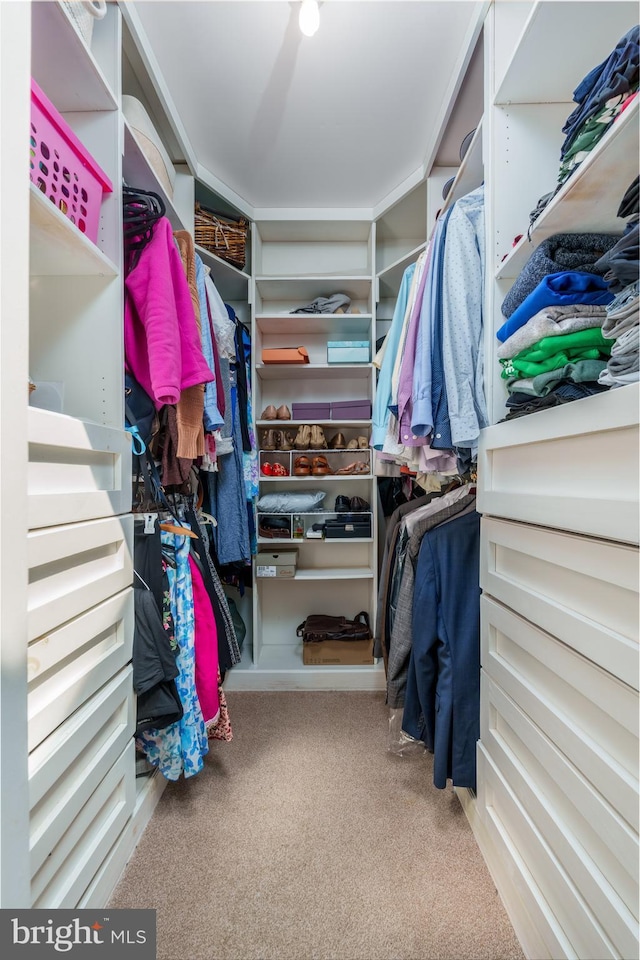 1520 Villa Rd, Wilmington, DE 19809 - walk in closet featuring carpet