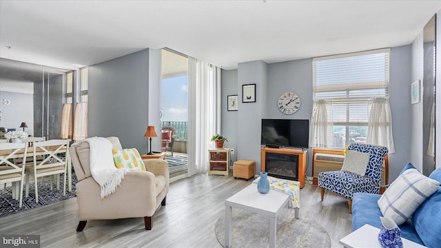28 Allegheny Ave Unit 2505, Baltimore, MD 21204 - living room featuring wood finished floors