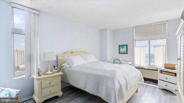 28 Allegheny Ave Unit 2505, Baltimore, MD 21204 - bedroom with wood finished floors and radiator