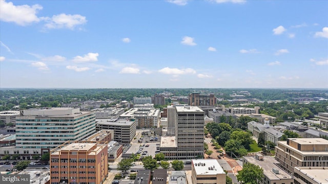28 Allegheny Ave Unit 2505, Baltimore, MD 21204 - view of urban area