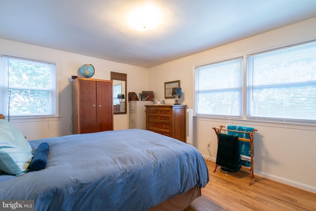 5021 23rd Rd N, Arlington, VA 22207 - bedroom with light wood finished floors, multiple windows, and baseboards