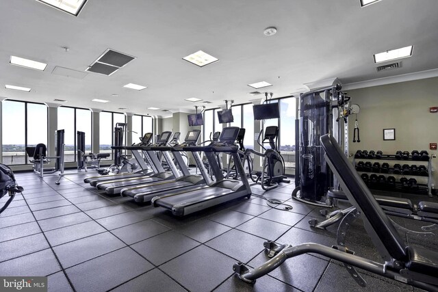 851 N Glebe Rd Unit 1103, Arlington, VA 22203 - exercise room featuring expansive windows and plenty of natural light