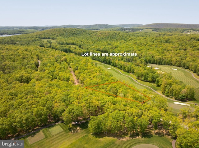11 Thousand Acres Rd, Swanton, MD 21561