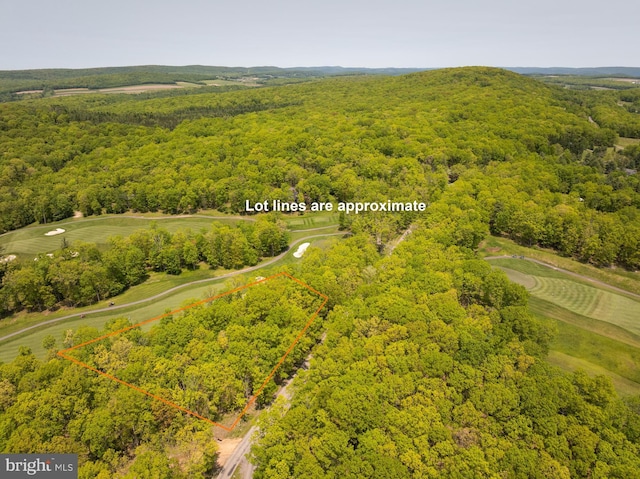 11 Thousand Acres Rd, Swanton, MD 21561