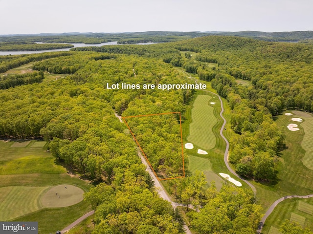 11 Thousand Acres Rd, Swanton, MD 21561