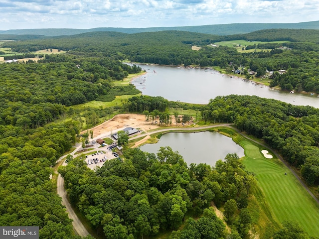 11 Thousand Acres Rd, Swanton, MD 21561