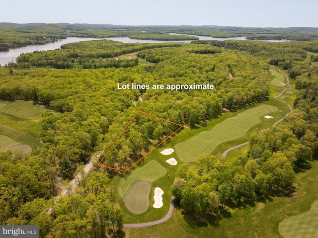 11 Thousand Acres Rd, Swanton, MD 21561