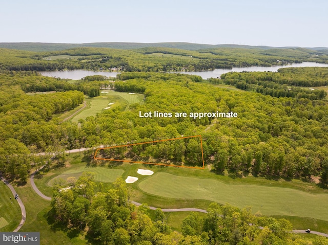 11 Thousand Acres Rd, Swanton, MD 21561