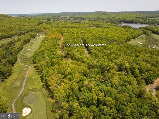 11 Thousand Acres Rd, Swanton, MD 21561