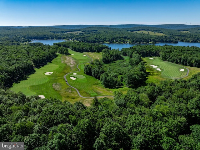 11 Thousand Acres Rd, Swanton, MD 21561