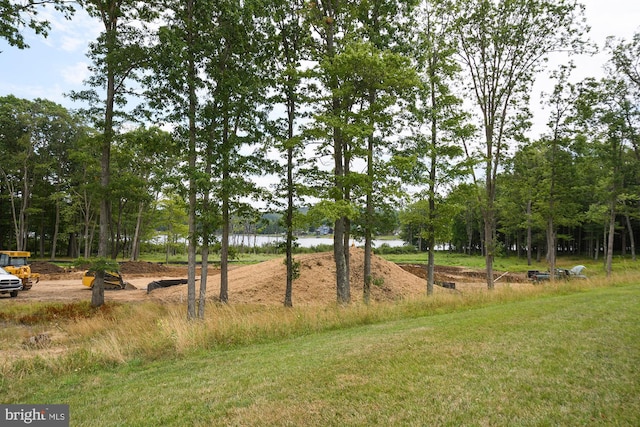 11 Thousand Acres Rd, Swanton, MD 21561