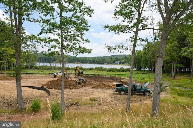 11 Thousand Acres Rd, Swanton, MD 21561