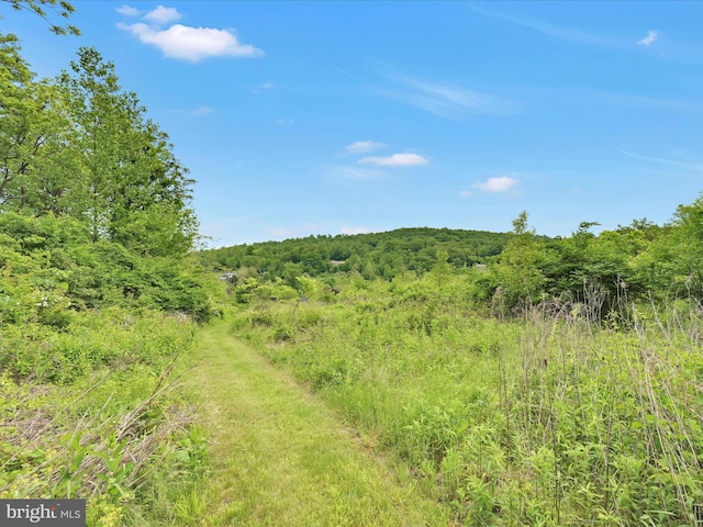 82 S Mountain Rd, Robesonia, PA 19551 - view of wooded area