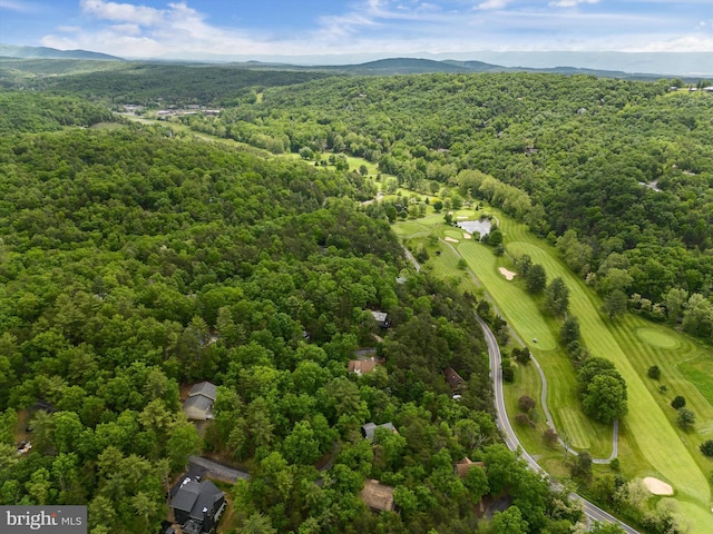 218 Nelson Way, Basye, VA 22810 - bird's eye view of a heavily wooded area and a mountain backdrop