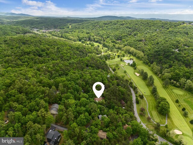 218 Nelson Way, Basye, VA 22810 - bird's eye view of a heavily wooded area and a mountainous background