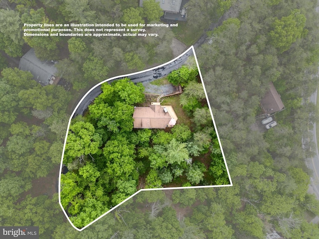 218 Nelson Way, Basye, VA 22810 - aerial view of property and surrounding area with property boundaries highlighted